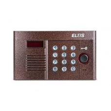 Панель вызова ELTIS DP303-TD16 (1036)