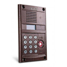 Панель вызова ELTIS DP300-TD22 (1036)