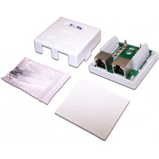 Розетка настенная 2 порта RJ-45 категории 5е, STP (белая) TWT TWT-SM2-4545/S-WH
