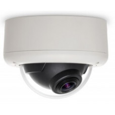 IP-камера видеонаблюдения купольная Arecont Vision AV3146DN-3310-D-LG