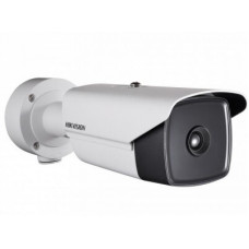 IP-камера видеонаблюдения тепловизионная в стандартном исполнении Hikvision DS-2TD2166-15