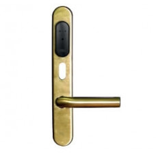 Контроллер cпециализированный Gate-IP-Lock (IP500)