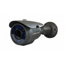 IP-камера видеонаблюдения уличная в стандартном исполнении SpezVision SVI-652V